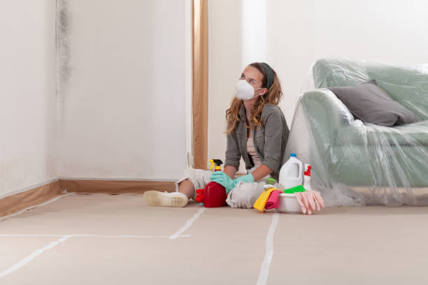 Reliable Mold Testing contractor in Ashland, VA by WQB Mold Removal